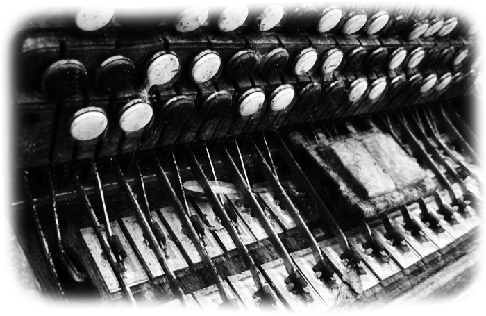 Acordeon